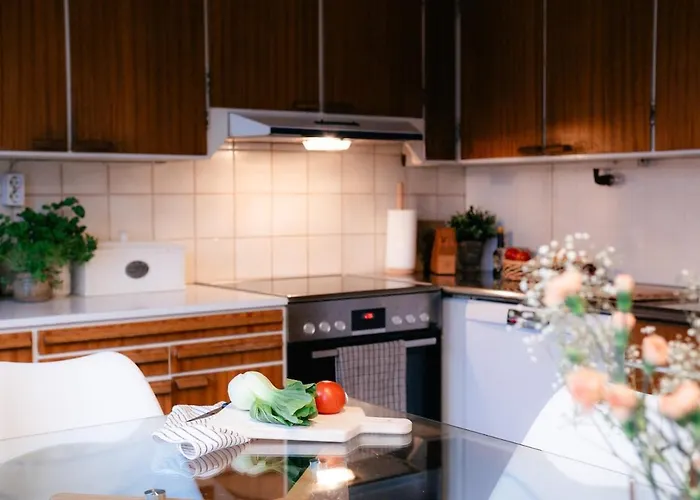 Βίλα Einar Lapvaartti